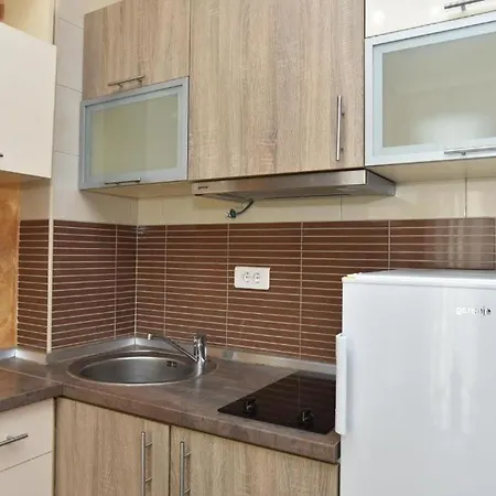 Apartment Lux M Center